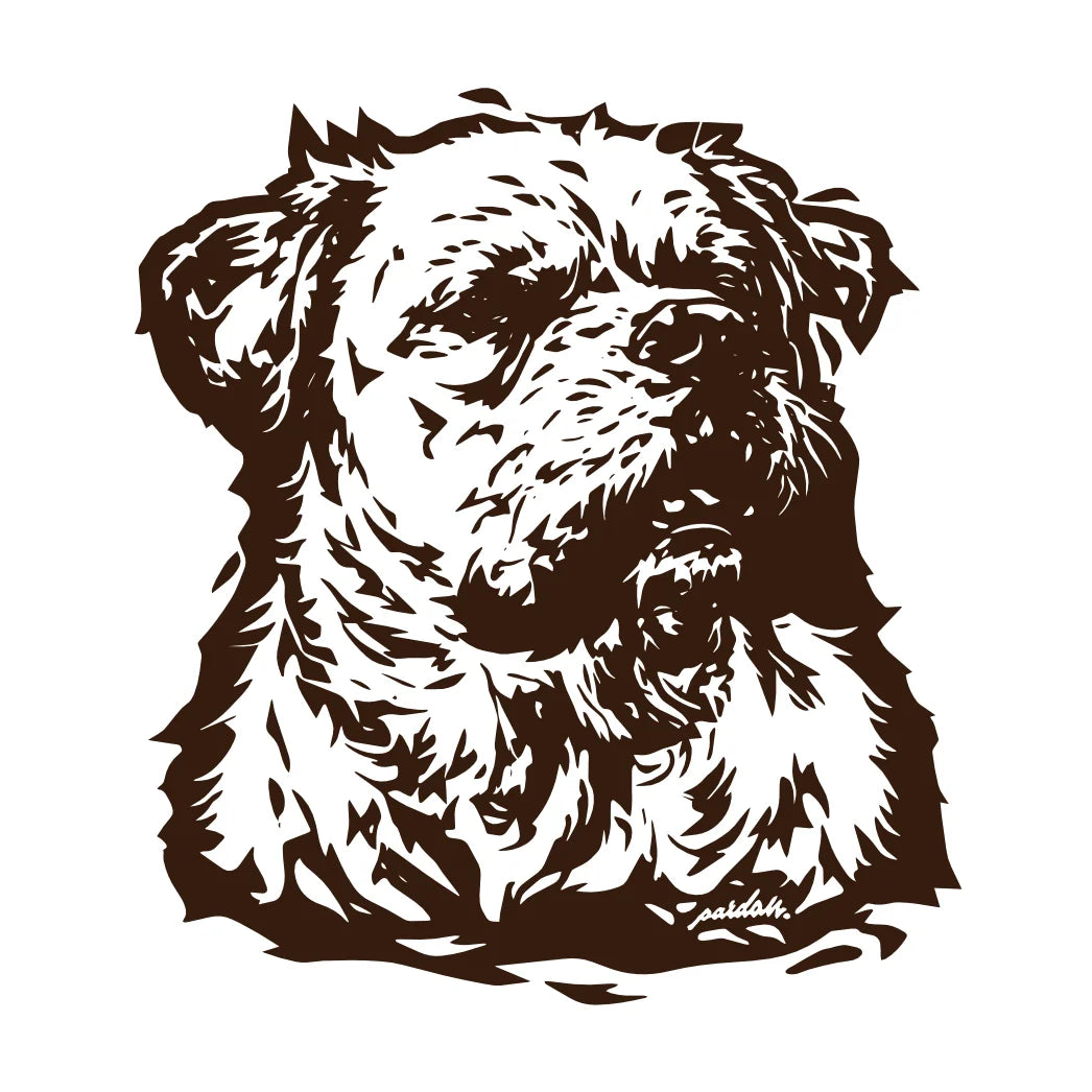 Old Dog New Tricks - Summer 2026